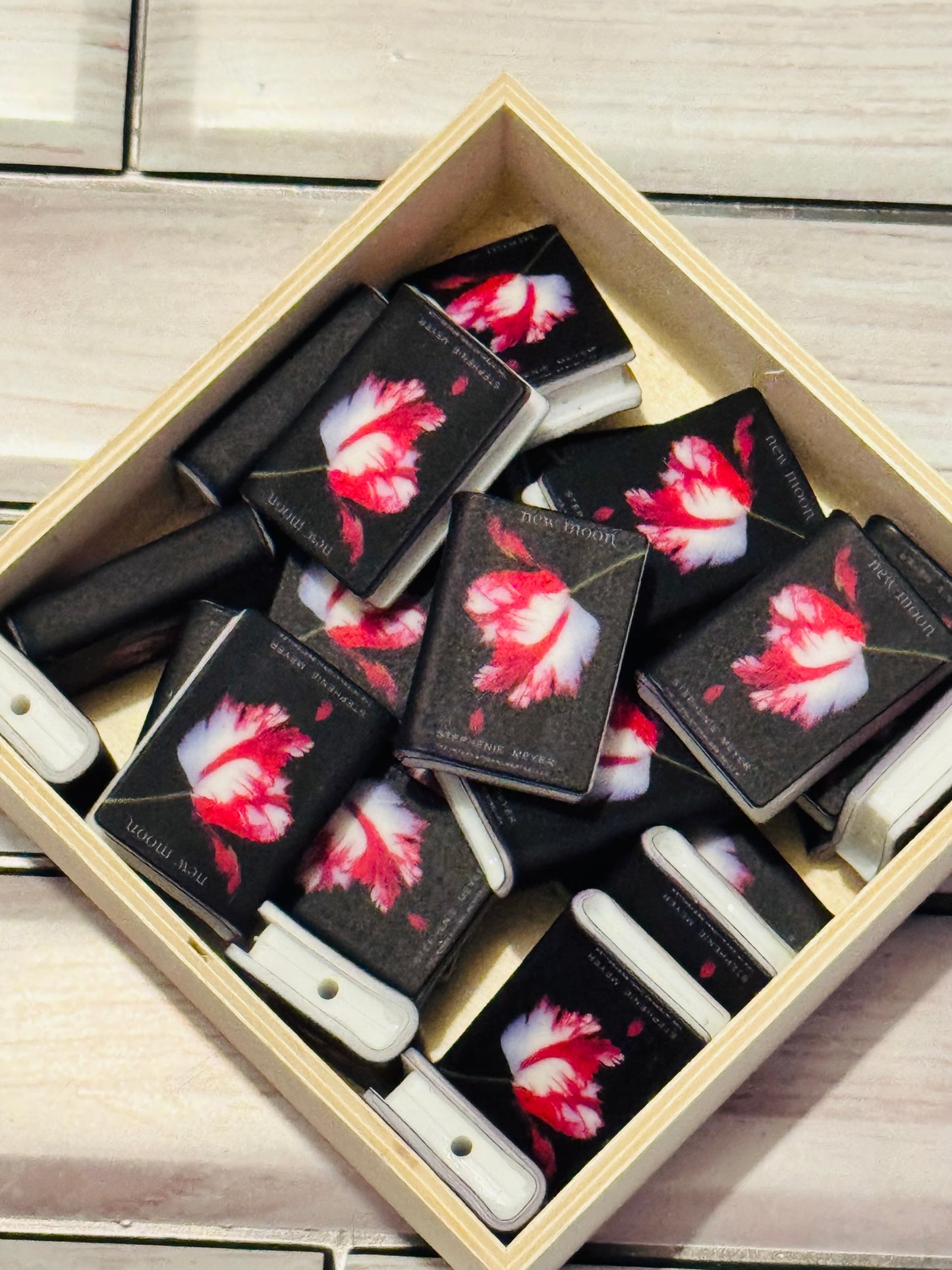 New Moon Book Silicone Focal Bead-1