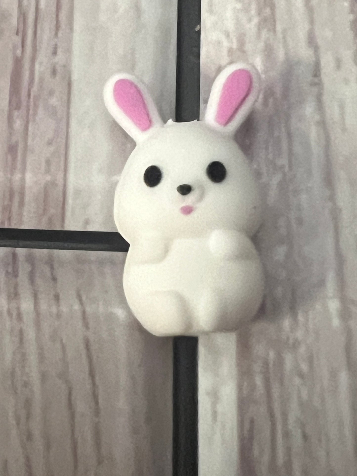 3D Bunnie Silicone Focal