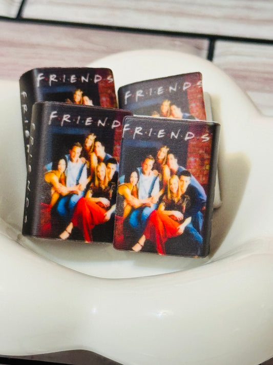 Friends Silicone focal bead book -1