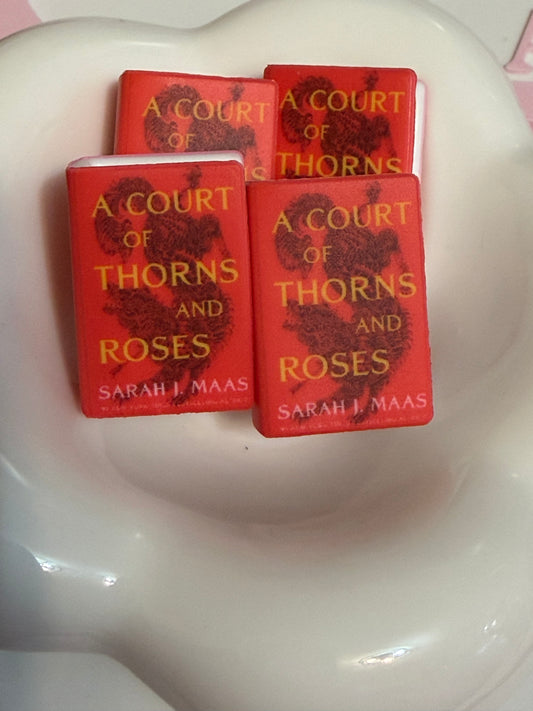 A Thorn Silicone Focal Book Bead -1