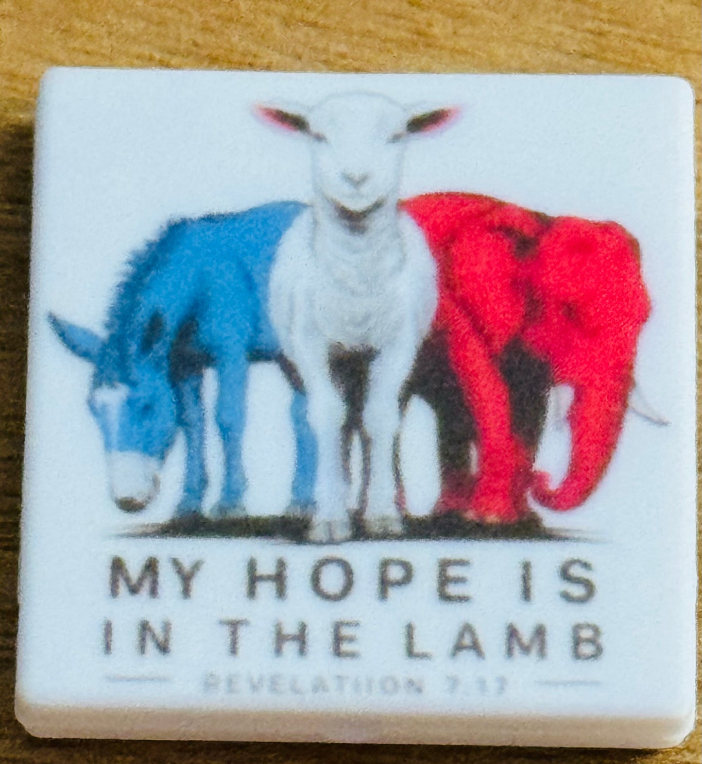 My Hope is in the Lamb (Custom)Silicone focal political