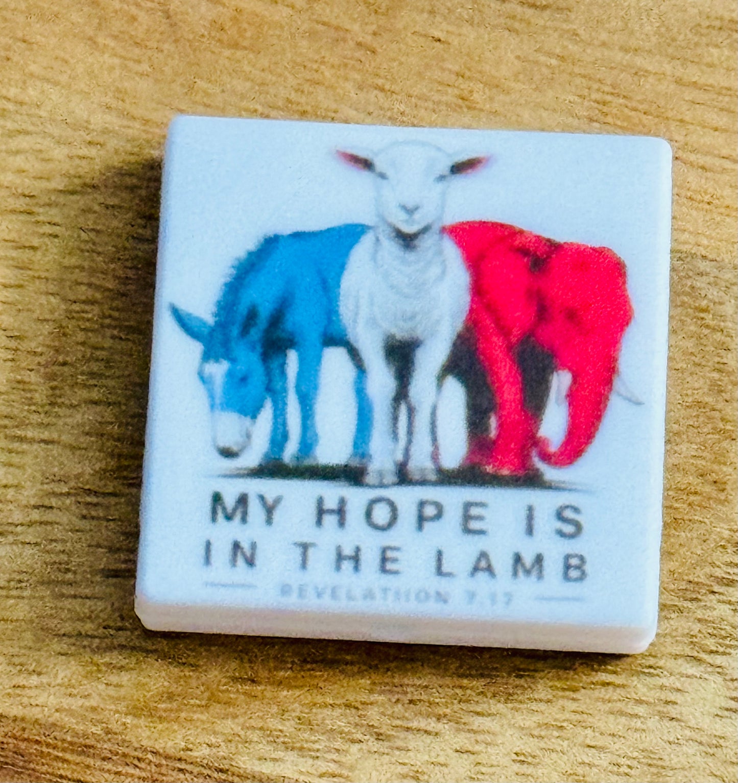 My Hope is in the Lamb (Custom)Silicone focal political