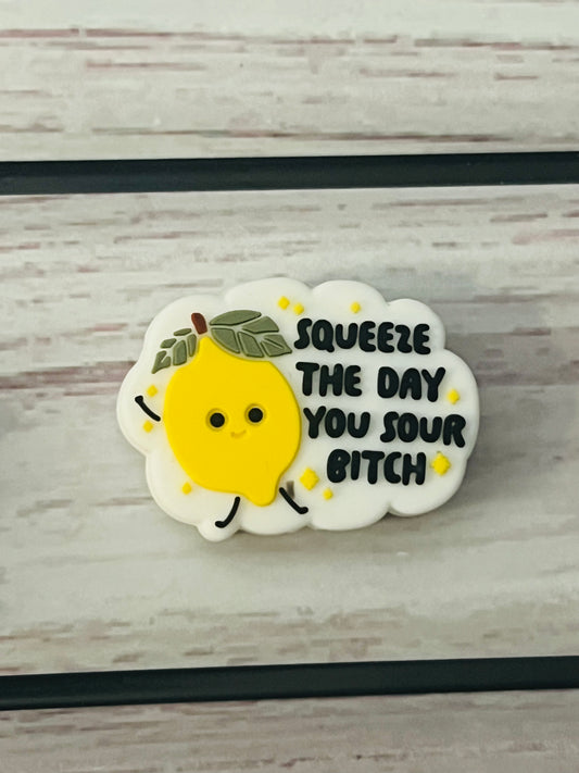 Squeeze the Day Silicone bead